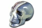 Realistic Polished Banded Agate Skull with Amethyst Crystal Pocket #378654-2